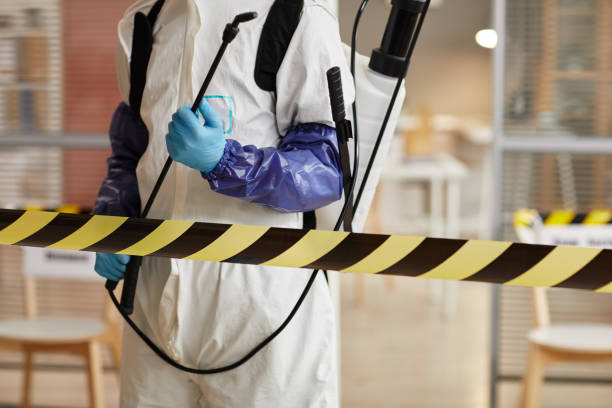 Professional Sewage Cleanup technician working in New Boston, TX