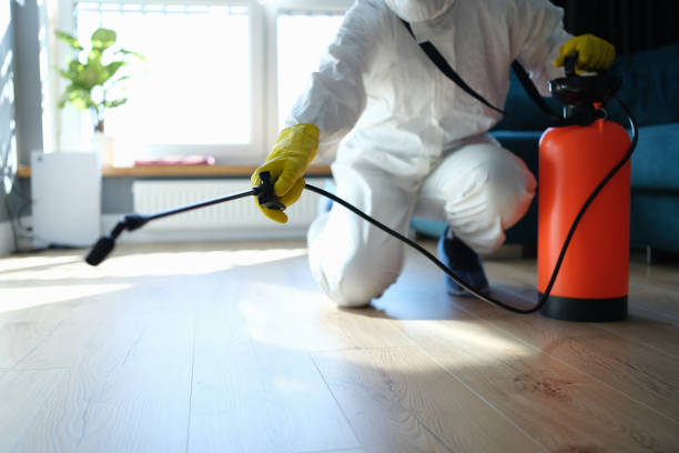 Reliable Sewage Cleanup contractor in New Boston, TX by Trauma Clean Pros